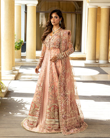 Rbc-msq-16 naina